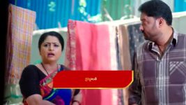Paape Maa Jeevana Jyothi S01 E1252 A Stunner for Padma, Simhadri