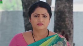 Paape Maa Jeevana Jyothi S01 E1270 Jeevana, Alekhya Join Hands