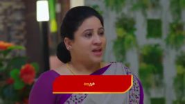 Paluke Bangaramayana S01 E544 Indhra Reminisces Pallavi