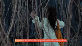Parul (Zee tv) S01 E81 29th May 2025