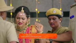 Puttakkana Makkalu S01 E978 12th May 2025