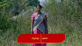 Renuka Yellamma (Star Maa) S01 E640 Bhavani Persuades Neelakantam