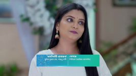 Roshnai (Star Jalsha) S01 E395 Aranyak Fears the Worst