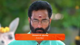 Sandhya Raagam (Tamil) S01 E534 24th May 2025