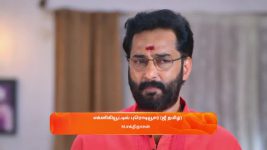 Sandhya Raagam (Tamil) S01 E538 29th May 2025
