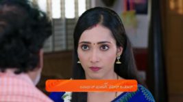 Shravani Subramanya S01 E301 8th May 2025