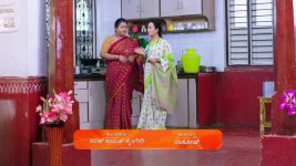 Shravani Subramanya S01 E310 21st May 2025
