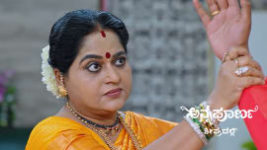 Annapoorna S01 E870 21st May 2025