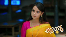 Annayya (Zee Kannada) S01 E202 20th May 2025