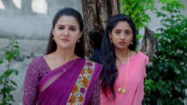 Ennallo Vechina Hrudayam (Zee telugu) S01 E100 22nd May 2025