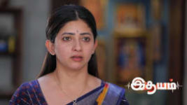 Idhayam S01 E699 31st May 2025