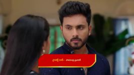 Illu Illalu Pillalu (Star Maa) S01 E149 Narmada's Efforts Fall Short