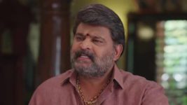 Illu Illalu Pillalu (Star Maa) S01 E169 Narmada, Srivalli's Dispute