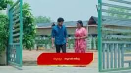 Karthika Deepam S02 E346 Deepa's Release Brings Joy