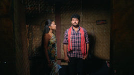 Maguva O Maguva S01 E393 Chanti's Gratitude to Satyavathi