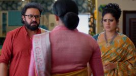 Meghasandesam (Zee Telugu) S01 E318 23rd May 2025