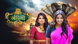 Nandini Ka Pratishod S01 E320 20th May 2025