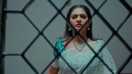 Nindu Noorella Saavasam S01 E574 21st May 2025