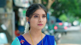 Ninnu Kori (Star Maa) S01 E301 Chandrakala's New Beginning