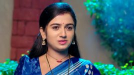 Paape Maa Jeevana Jyothi S01 E1249 Padma, Simhadri's Plea to Sunandha