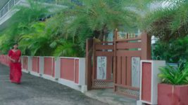 Paluke Bangaramayana S01 E552 Swaragini's Heart Crumbles