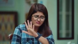 Pinga Ga Pori Pinga S01 E167 Girls Face New Challenge