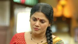 Pushpa Impossible S01 E914 The Chawl Survives