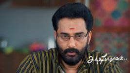 Sandhya Raagam (Tamil) S01 E529 19th May 2025