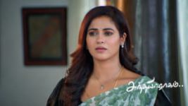 Sandhya Raagam (Tamil) S01 E530 20th May 2025