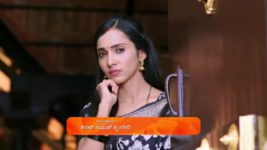 Shravani Subramanya S01 E307 16th May 2025