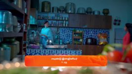 Veera (Zee Tamil) S01 E336 20th May 2025