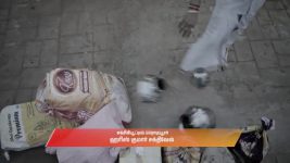 Gattimelam S01 E116 30th June 2025
