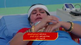 Geeta LLB (Star Maa) S01 E134 Janaki Confronts Jagruthi