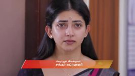 Idhayam S01 E713 17th June 2025