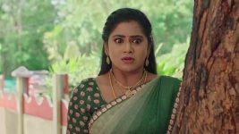 Illu Illalu Pillalu (Star Maa) S01 E179 Srivalli Is Envious