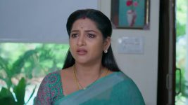 Intinti Ramayanam (Star Maa) S01 E318 Kalyani Humiliates Akshay, Parvati