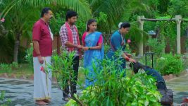Maguva O Maguva S01 E425 Chenchalamma Is Thankful