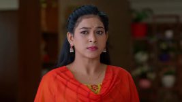 Meghasandesam (Zee Telugu) S01 E335 13th June 2025