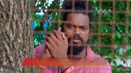 Nindu Noorella Saavasam S01 E603 25th June 2025