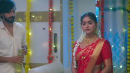 Ninnu Kori (Star Maa) S01 E327 Shyamala Torments Sruthi, Kamakshi
