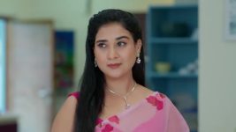 Ninnu Kori (Star Maa) S01 E329 Chandrakala Fumes at Shalini