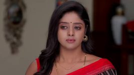 Paape Maa Jeevana Jyothi S01 E1279 Kutti Is Delighted