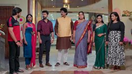Paape Maa Jeevana Jyothi S01 E1291 Kutti Defends Alekhya