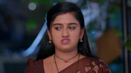 Paape Maa Jeevana Jyothi S01 E1294 Indumathi Stirs up Aditya
