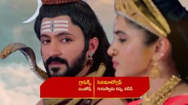 Renuka Yellamma (Star Maa) S01 E658 Indumathi Demands Answers