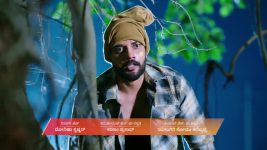 Shravani Subramanya S01 E334 24th June 2025