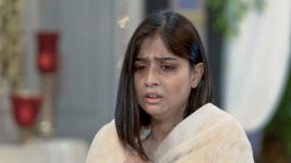 Grihoprobesh (Star Jalsha) S01 E183 Tuli Speaks Aloud Jinia's Crime