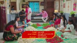 Gunde Ninda Gudi Gantalu S01 E438 Ravi, Sruthi's Happy Time