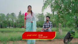 Illu Illalu Pillalu (Star Maa) S01 E194 Ramaraju's Concern for Dheeraj
