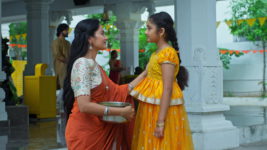 Maamagaru (Star Maa) S01 E543 Will Ganga, Subhra Reunite?